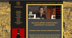 Desktop Screenshot of molnarpinceszet.hu