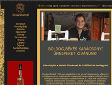 Tablet Screenshot of molnarpinceszet.hu